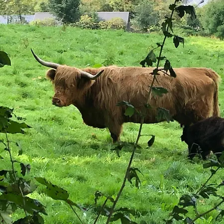 Schoene Aussicht Sauerland By Koelbel Familienurlaub Mit Hund 아파트 *