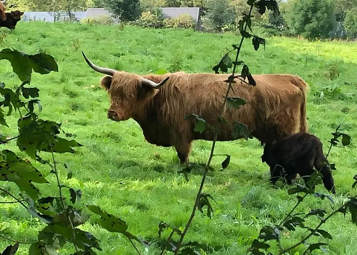 Schoene Aussicht Sauerland By Koelbel Familienurlaub Mit Hund Appartement *